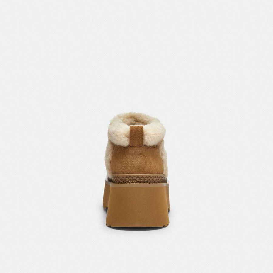 Botas COACH Christinaie In Signature Suede Feminino Marrom | 10675ADJB