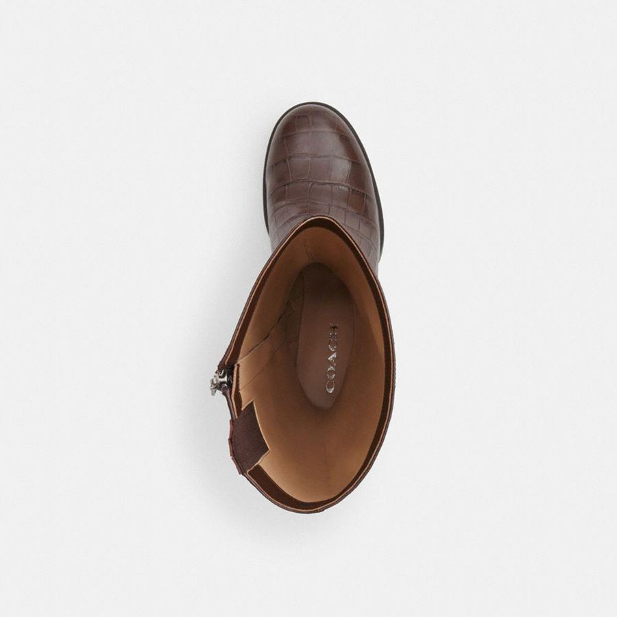 Botas COACH Natasha Feminino Marrom | 78641ZSFC