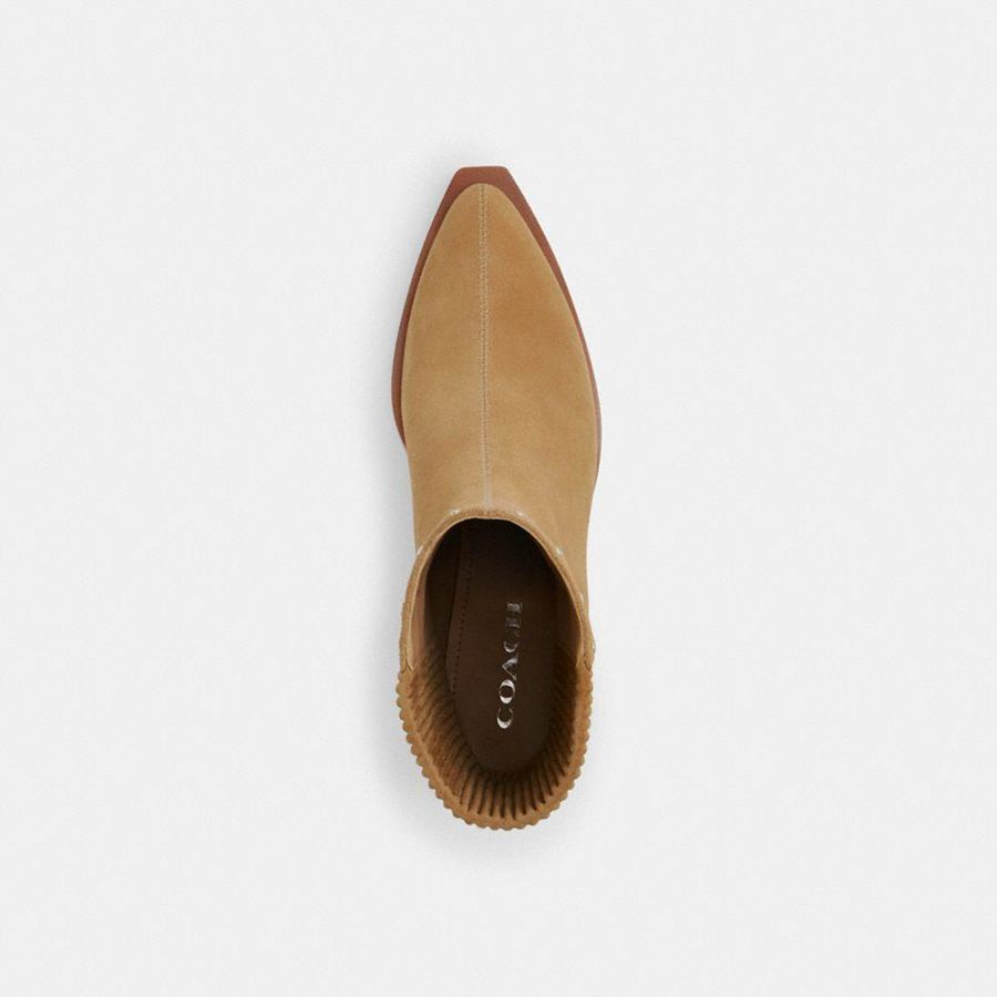 Botas COACH Prestynie With Rivets Feminino Marrom | 23169IWME