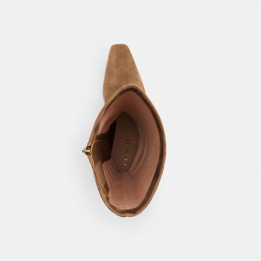 Botas COACH Raquel Extended Calf Feminino Marrom | 31096MZBC