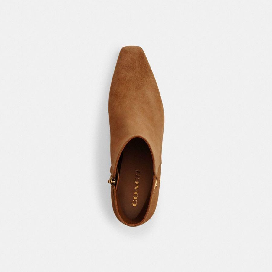 Botas COACH Rebeccaie Feminino Marrom | 21349GJZU