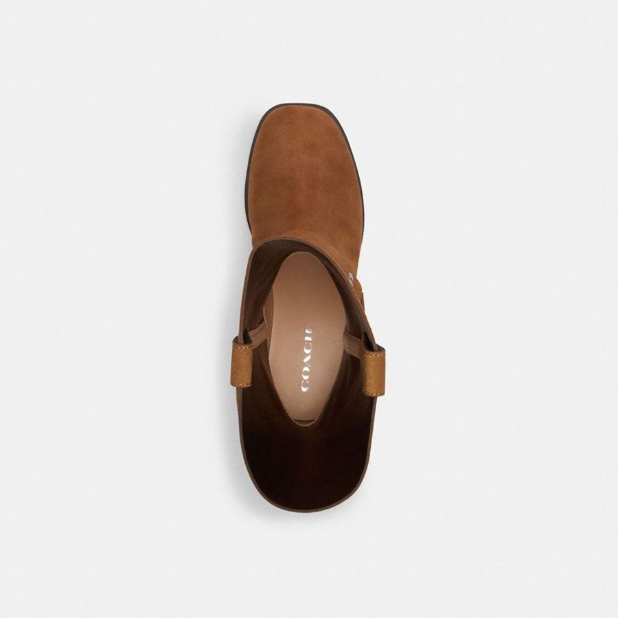 Botas COACH Tara Biker Feminino Marrom | 05614OMVB