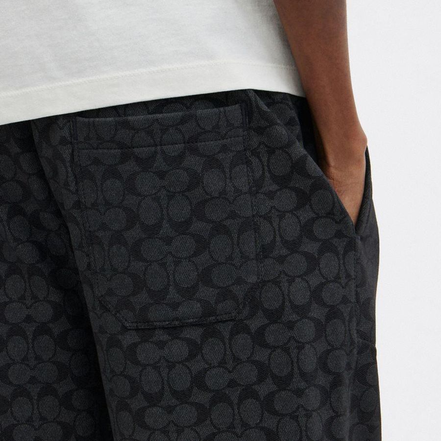 Calças COACH Essential Signature Joggers Masculino Cinzentas | 38546RZBX