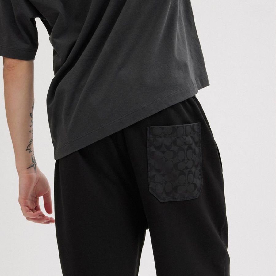 Calças COACH Essential Solid Joggers Feminino Pretas | 70146XDKN