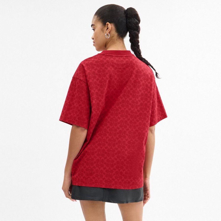 Camiseta COACH Relaxed Signature Pegasus In Organic Cotton Masculino Vermelhas | 30981FIMZ