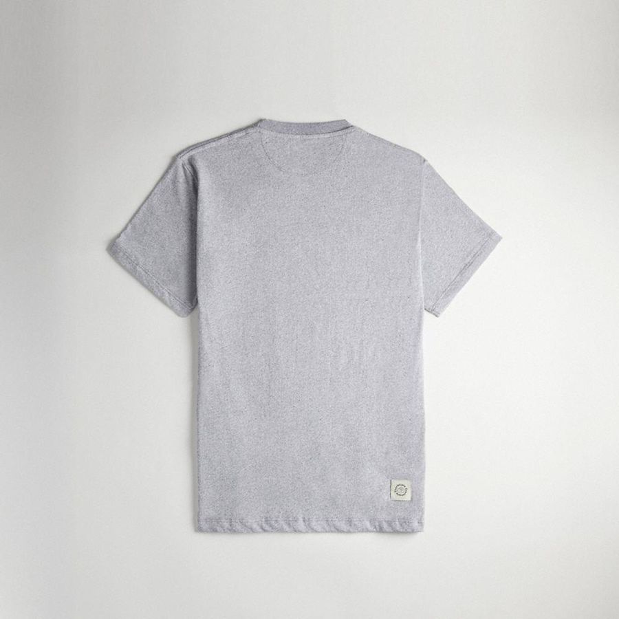 Camiseta COACH Relaxed With Flower Pot Print Masculino Cinzentas | 39265HPTY