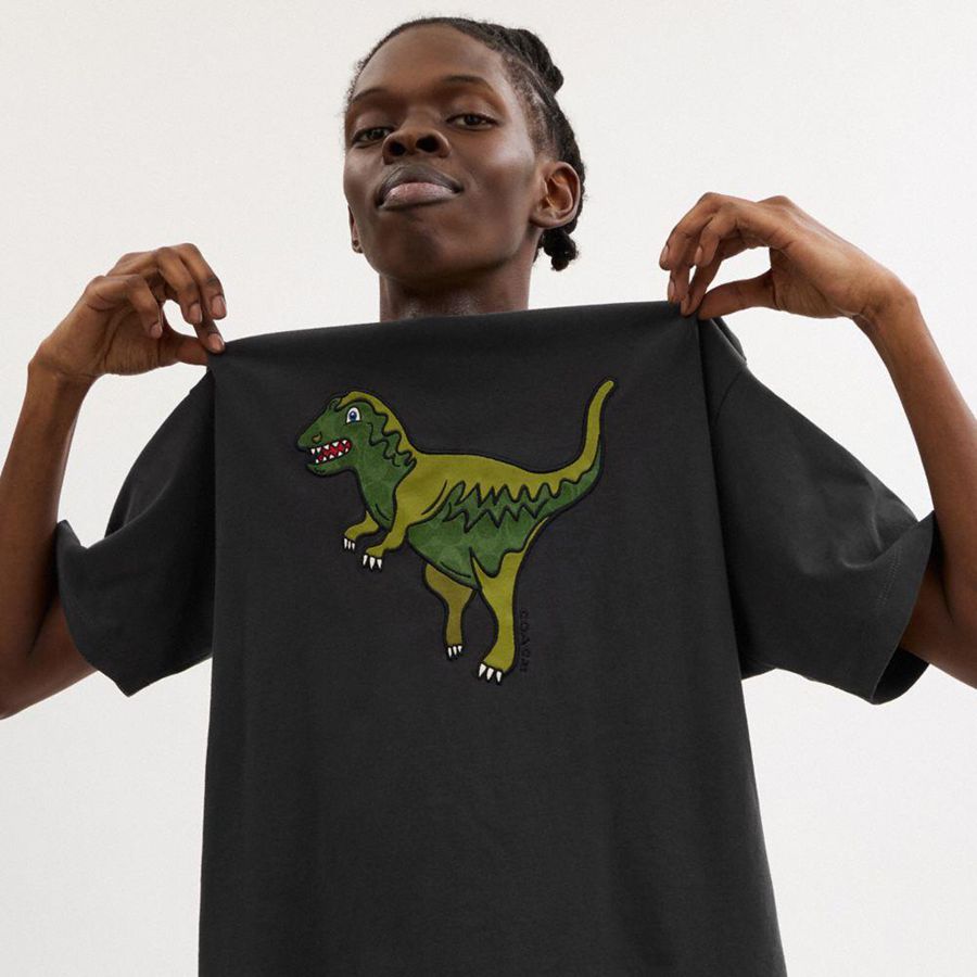 Camiseta COACH Rexy Relaxed Fit In Organic Cotton Masculino Pretas | 67529PKFY