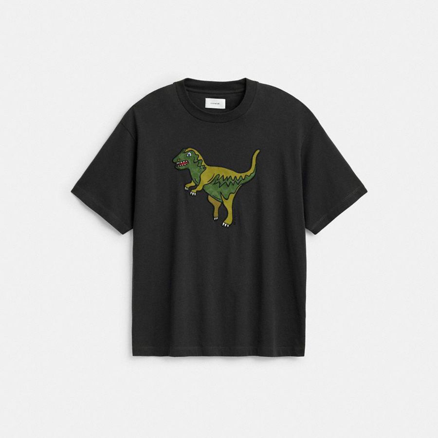 Camiseta COACH Rexy Relaxed Fit In Organic Cotton Masculino Pretas | 67529PKFY