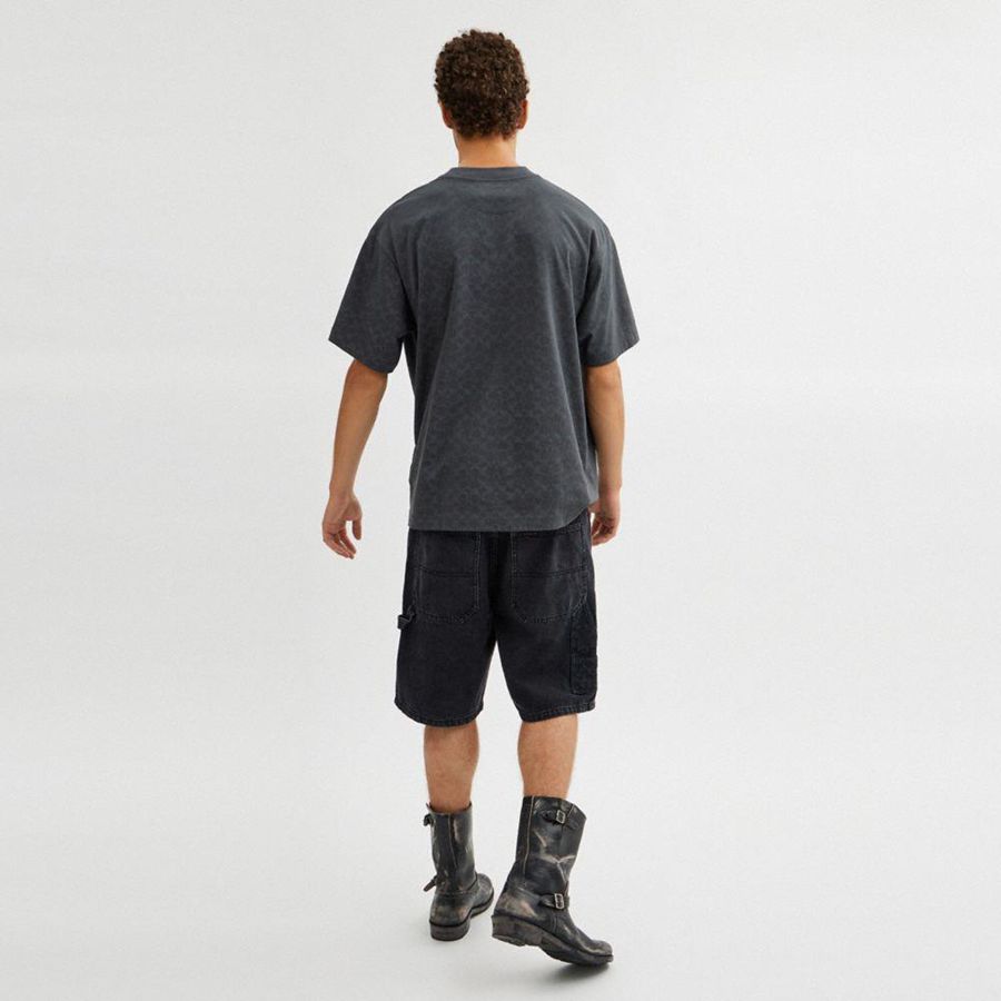 Camiseta COACH Signature Duck Relaxed In Organic Cotton Masculino Cinzentas | 30451DFIU
