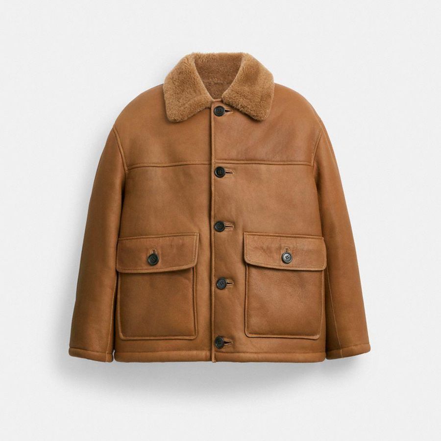 Casaco COACH Classic Shearling Coat Masculino Marrom | 34729FKWZ