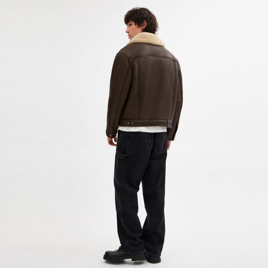 Casaco COACH Shearling Trucker Masculino Marrom | 21548TDHU