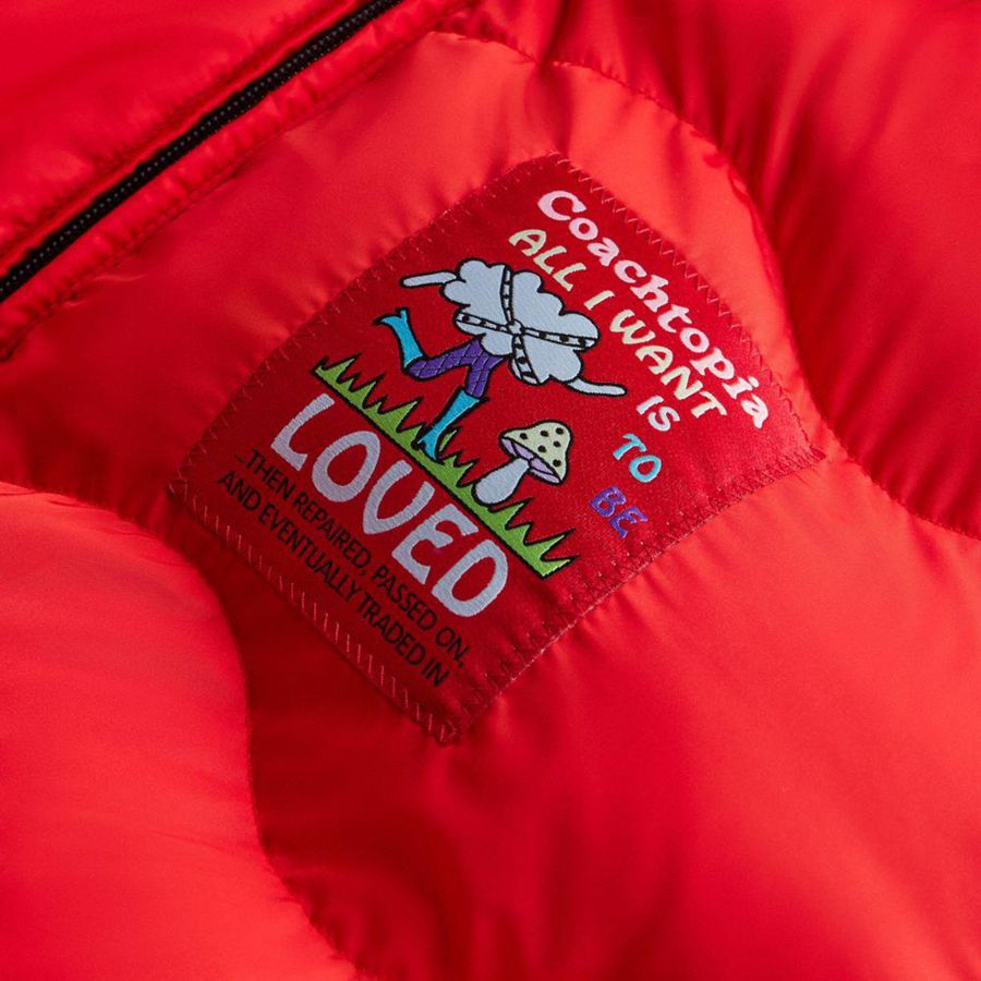 Casaco COACH Topia Loop Puffer Feminino Vermelhas | 87950HPBJ