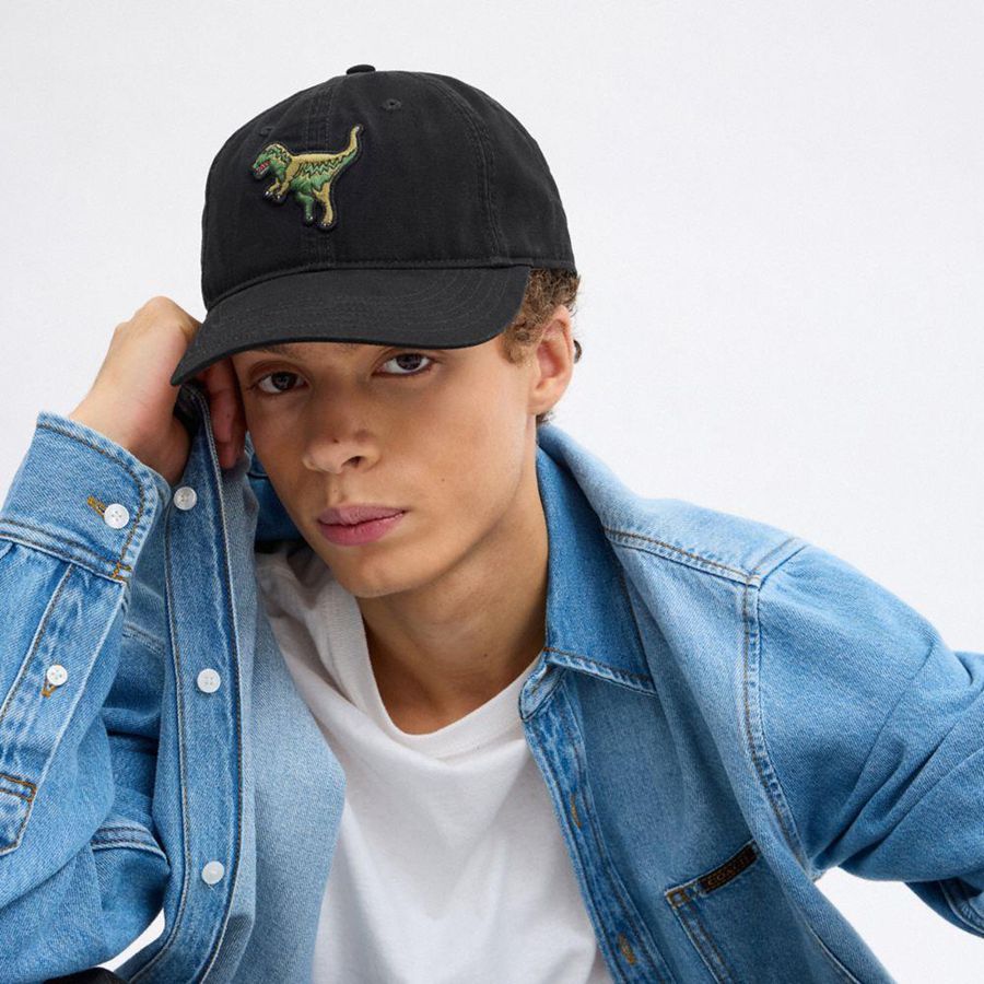 Chapéu COACH Rexy Patch Baseball Feminino Pretas | 32145BFIP
