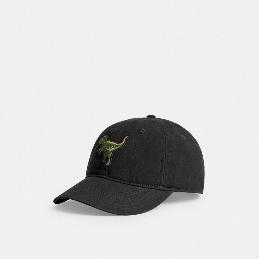 Chapéu COACH Rexy Patch Baseball Feminino Pretas | 32145BFIP