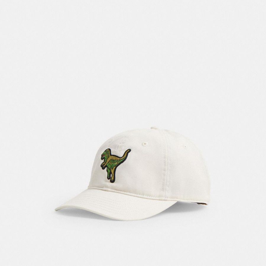 Chapéu COACH Rexy Patch Baseball Masculino Branco | 54902OXQZ