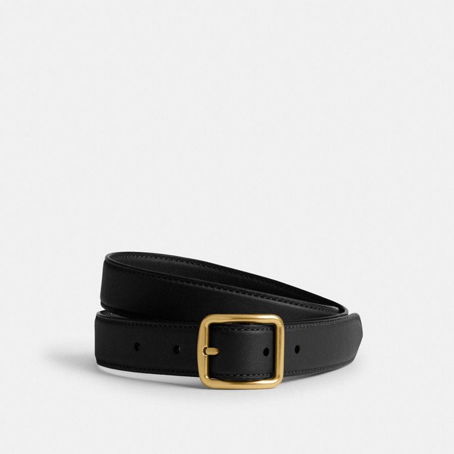 Cintos COACH Classic Buckle With Hip Detail, 25 Mm Feminino Marrom | 03586MZRH