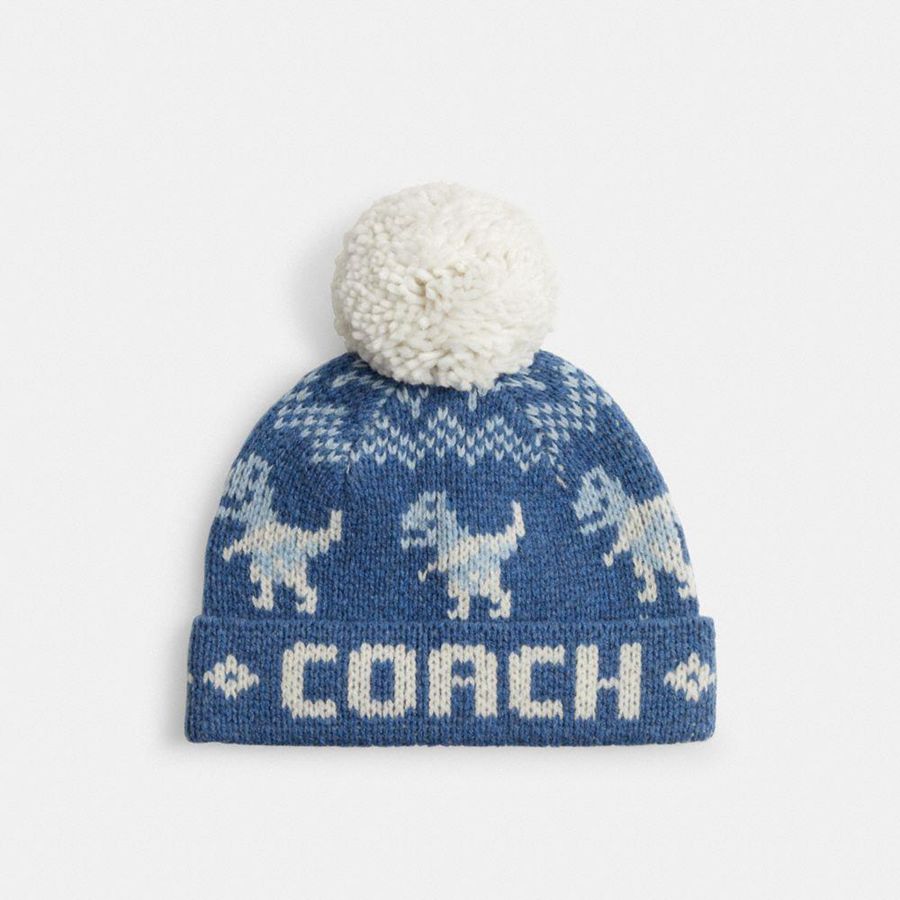 Gorro COACH Rexy Fair Isle Print Feminino Azuis | 18632NGQU
