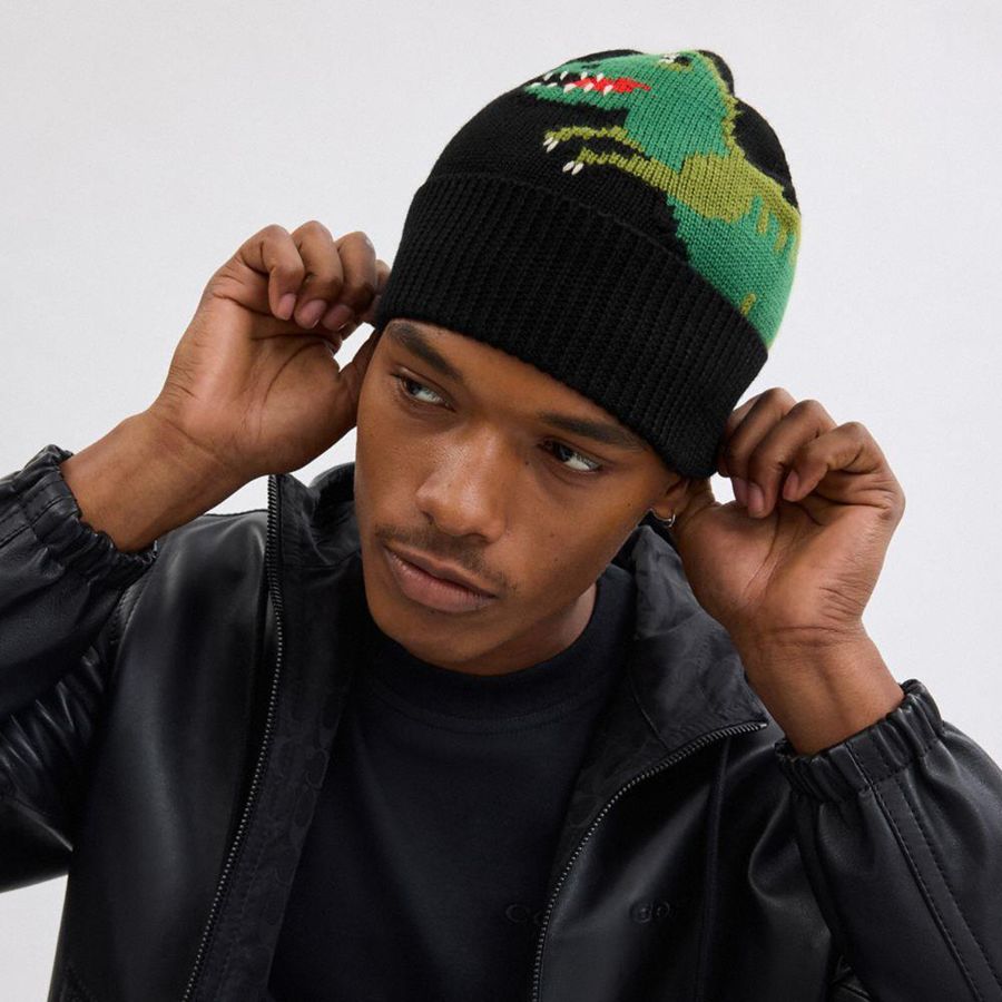 Gorro COACH Rexy Knit Feminino Pretas | 70451NXGD