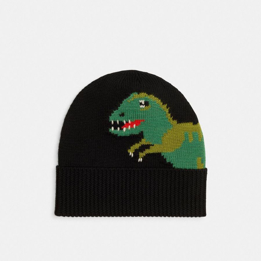 Gorro COACH Rexy Knit Feminino Pretas | 70451NXGD