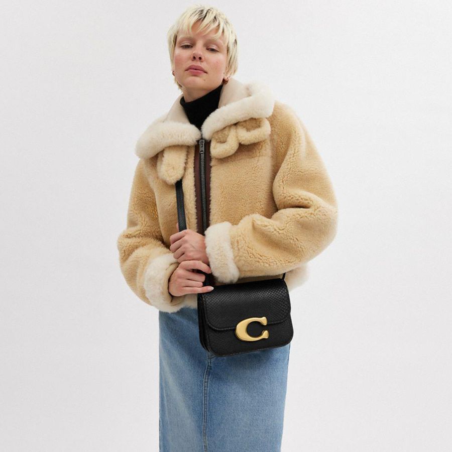 Hobo Bag COACH Idol In Python Feminino Pretas | 79148UZJT