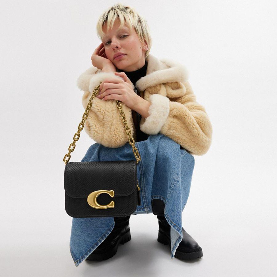 Hobo Bag COACH Idol In Python Feminino Pretas | 79148UZJT