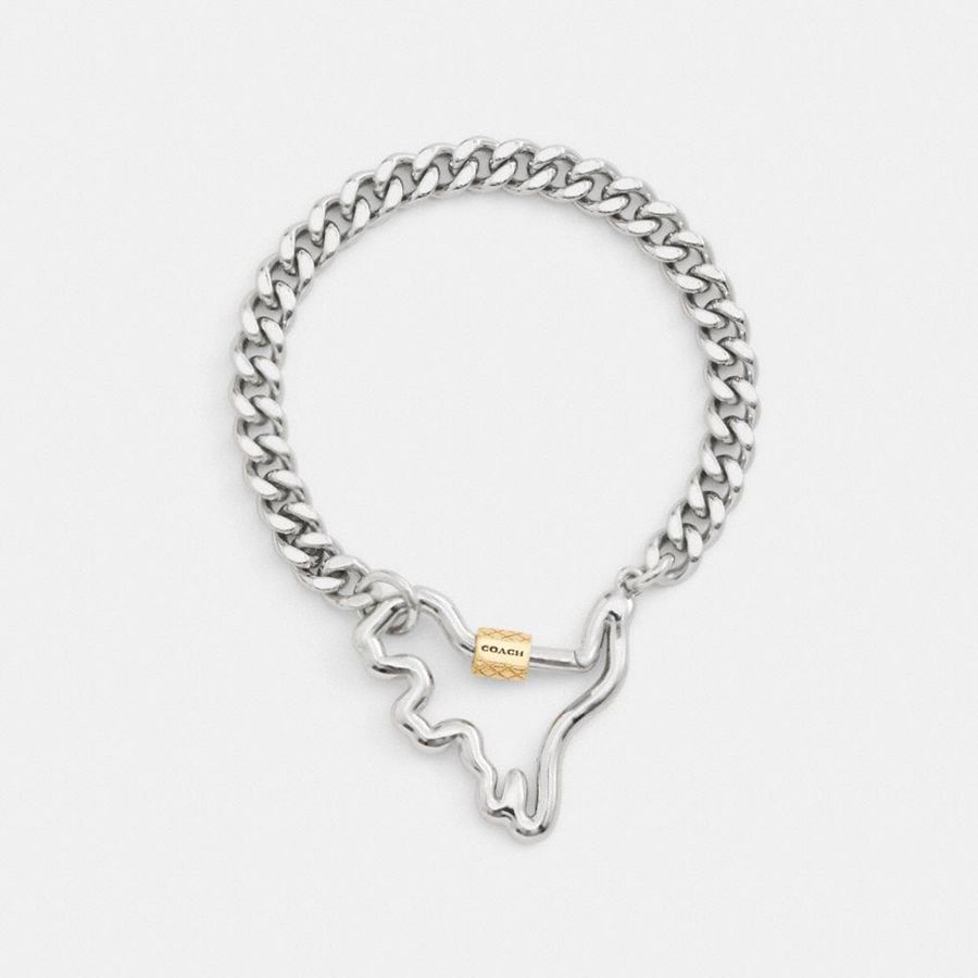 Jóias COACH Carabiner Rexy Curb Chain Bracelet Feminino Prateadas | 26971NPDO