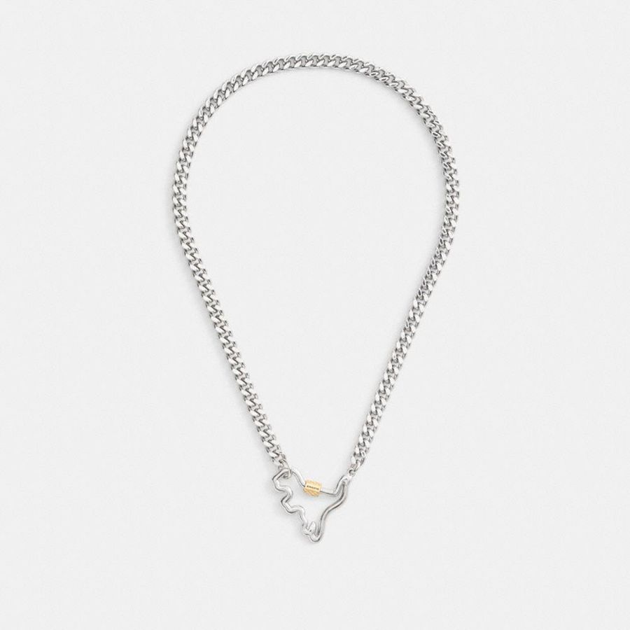Jóias COACH Carabiner Rexy Curb Chain Necklace Feminino Prateadas | 32175DUFV