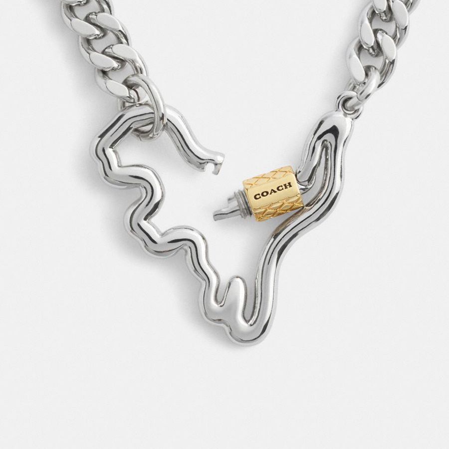 Jóias COACH Carabiner Rexy Curb Chain Necklace Feminino Prateadas | 32175DUFV