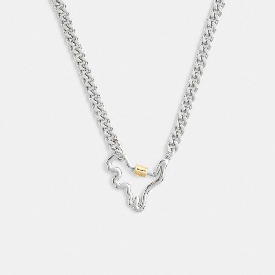 Jóias COACH Carabiner Rexy Curb Chain Necklace Feminino Prateadas | 32175DUFV