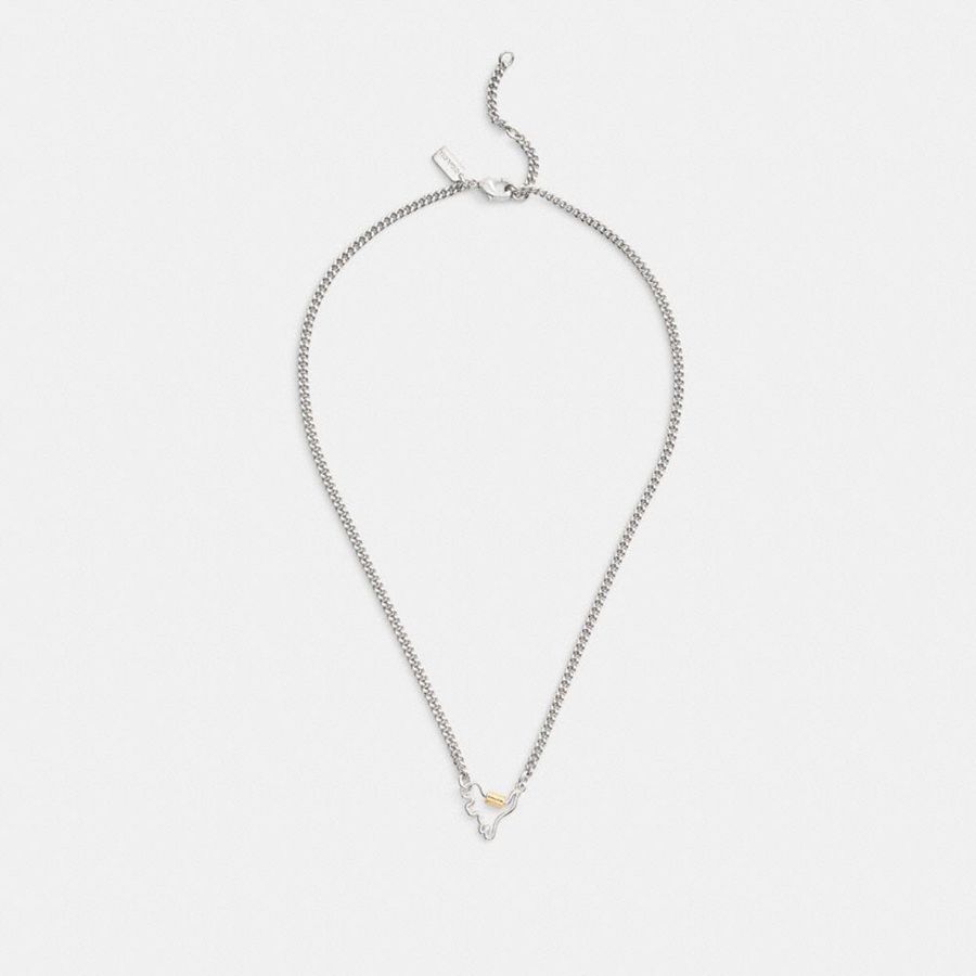 Jóias COACH Carabiner Rexy Necklace Feminino Prateadas | 72391SUTA