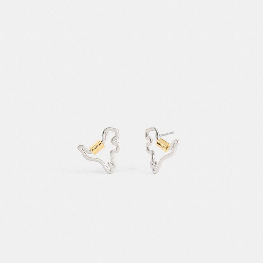 Jóias COACH Carabiner Rexy Stud Earrings Feminino Prateadas | 96134DKQA