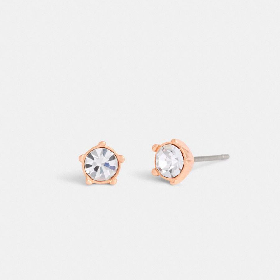 Jóias COACH Halo Tea Rose Stud Earrings Feminino Prateadas | 62518YKNU