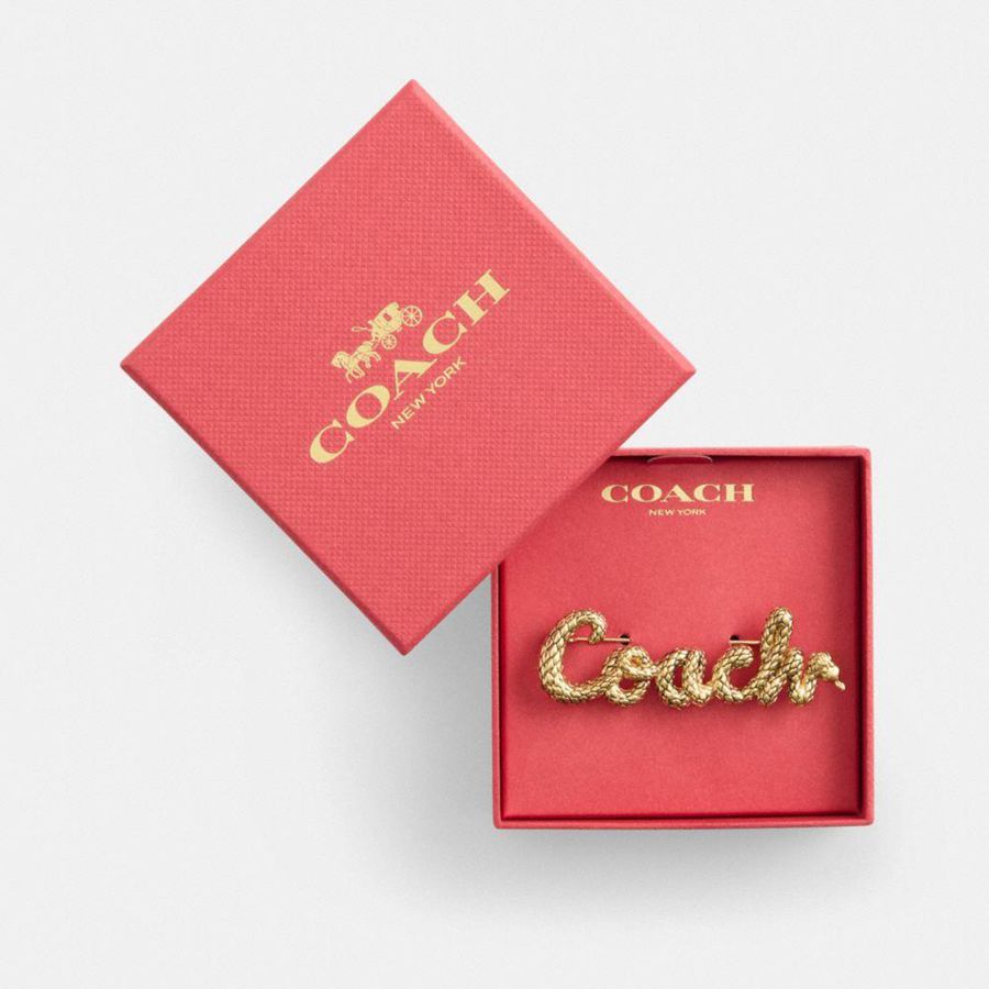 Jóias COACH New Year Coach Snake Script Brooch Feminino Douradas | 96105FRDB