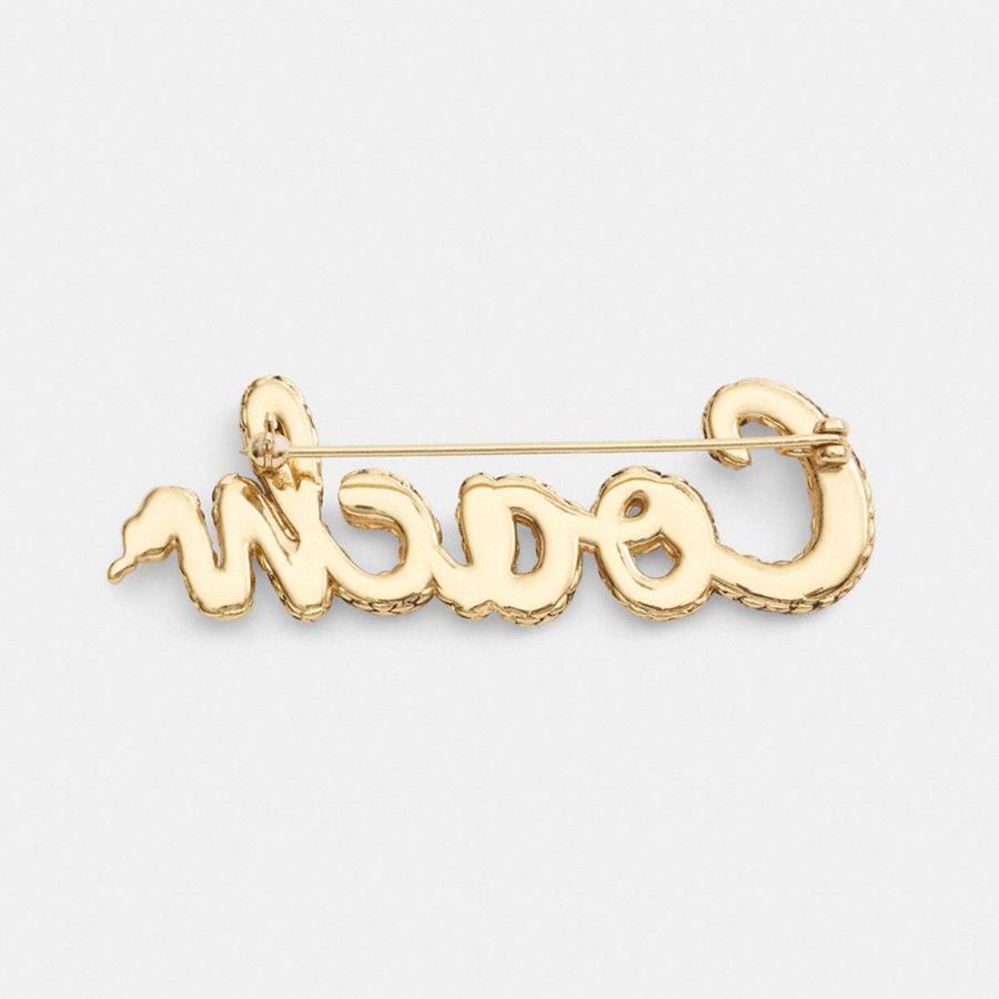 Jóias COACH New Year Coach Snake Script Brooch Feminino Douradas | 96105FRDB