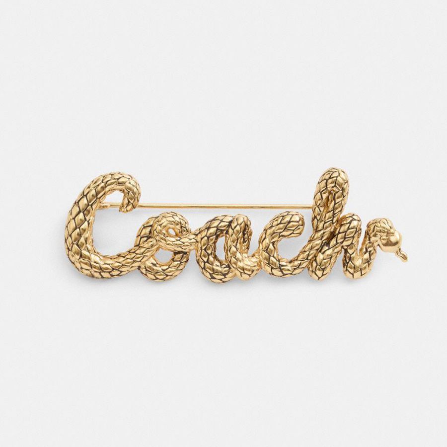 Jóias COACH New Year Coach Snake Script Brooch Feminino Douradas | 96105FRDB