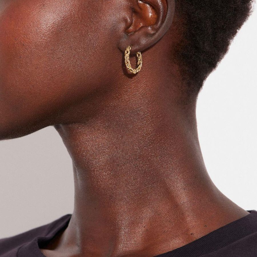 Jóias COACH Signature Chain Small Hoop Earrings Feminino Douradas | 17942QFLO