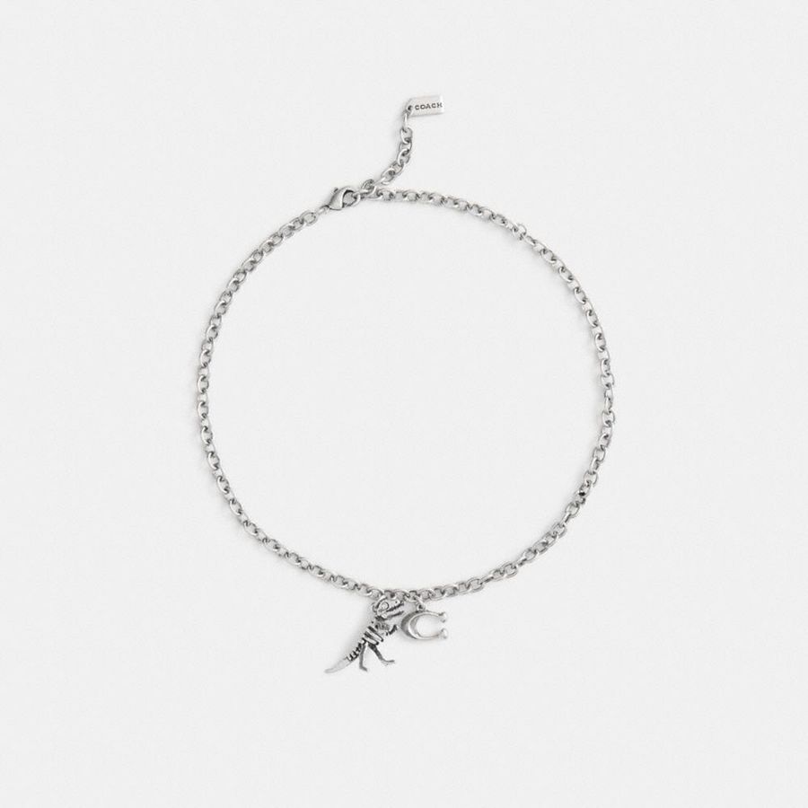 Jóias COACH Skeletal Rexy And Signature Pendant Necklace Feminino Prateadas | 47569BQKP