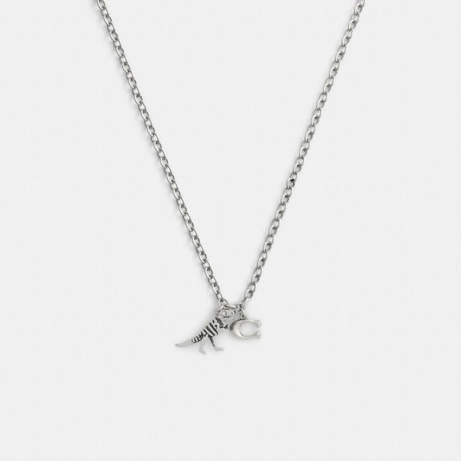Jóias COACH Skeletal Rexy And Signature Pendant Necklace Feminino Prateadas | 47569BQKP