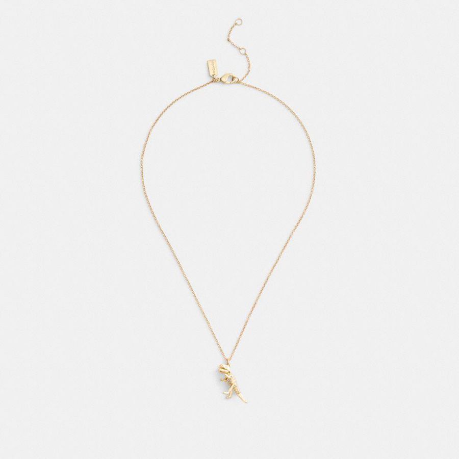 Jóias COACH Skeletal Rexy Pendant Necklace Feminino Douradas | 95372UBNM