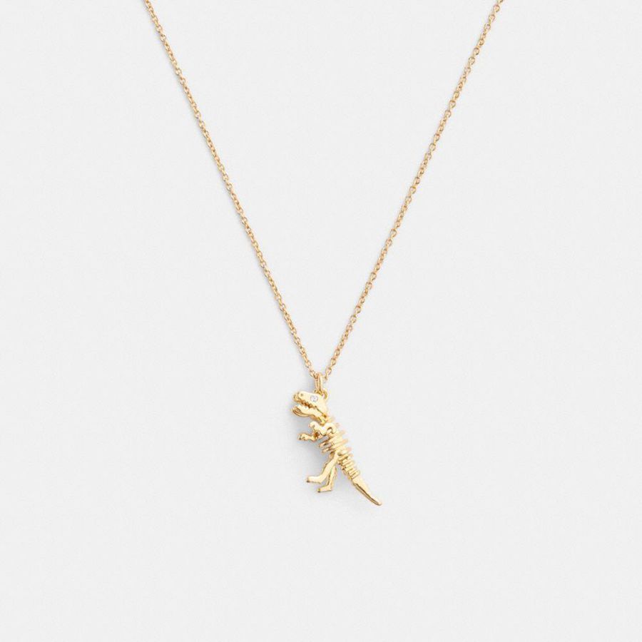 Jóias COACH Skeletal Rexy Pendant Necklace Feminino Douradas | 95372UBNM