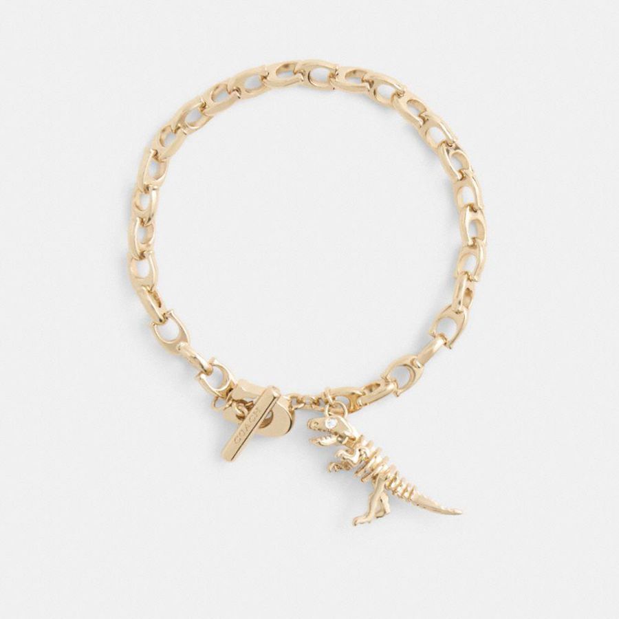 Jóias COACH Skeletal Rexy Signature Chain Bracelet Feminino Douradas | 12765BCWH