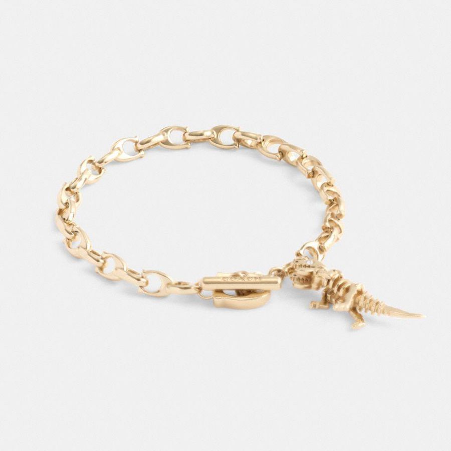 Jóias COACH Skeletal Rexy Signature Chain Bracelet Feminino Douradas | 12765BCWH