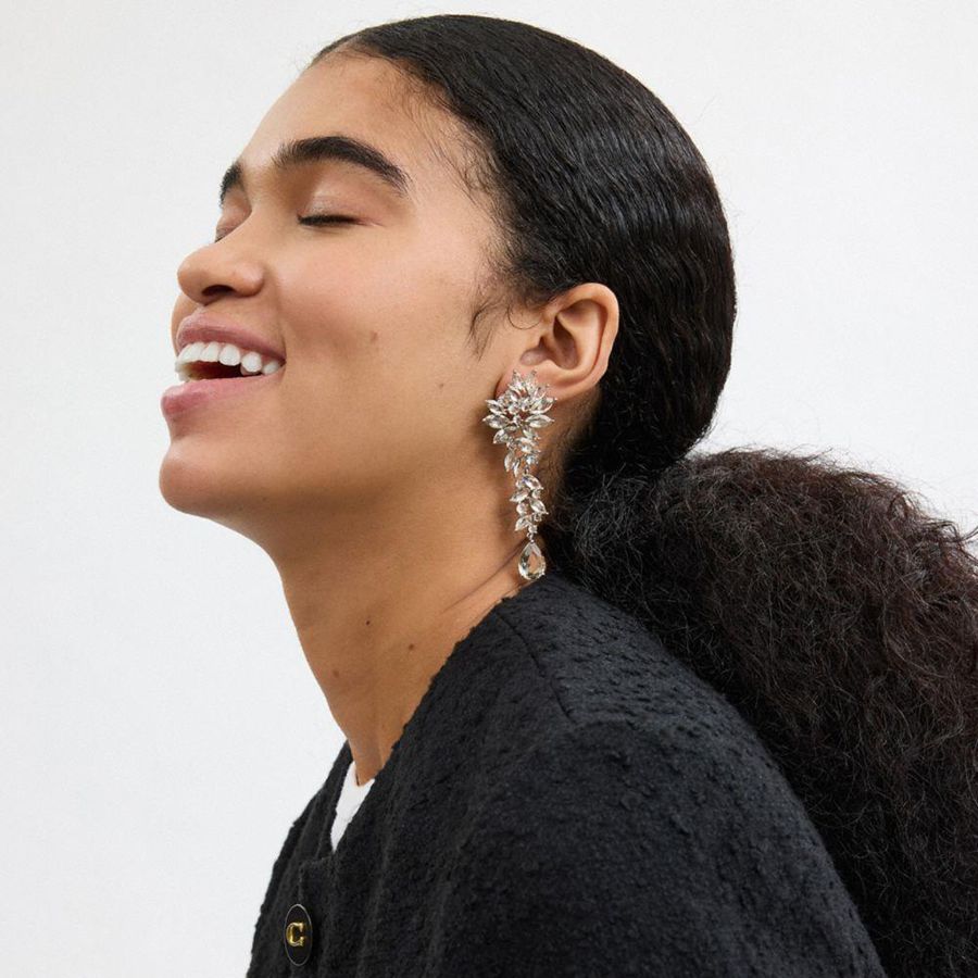 Jóias COACH Statement Crystal Earring Feminino Prateadas | 38204QZBK