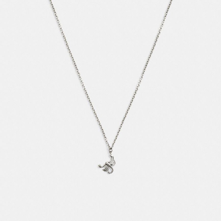 Jóias COACH Sterling Scorpion Pendant Necklace Masculino Prateadas | 63041ODWM