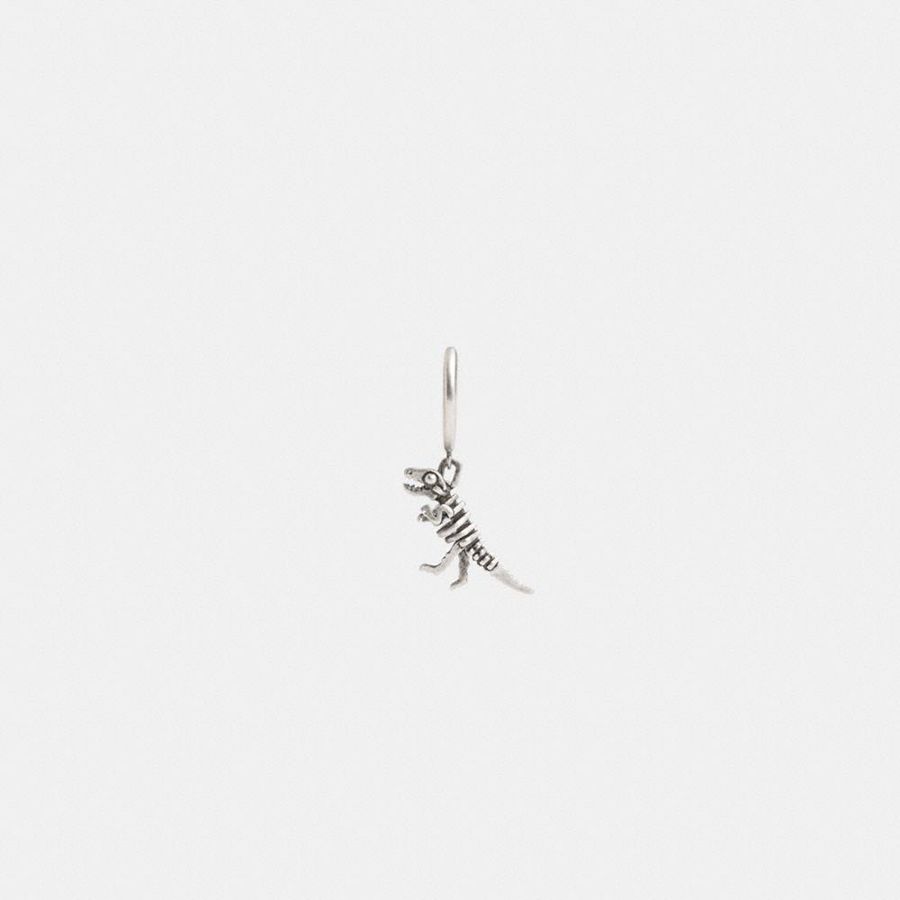 Jóias COACH Sterling Skeletal Rexy Huggie Earring Masculino Prateadas | 34591ECKY