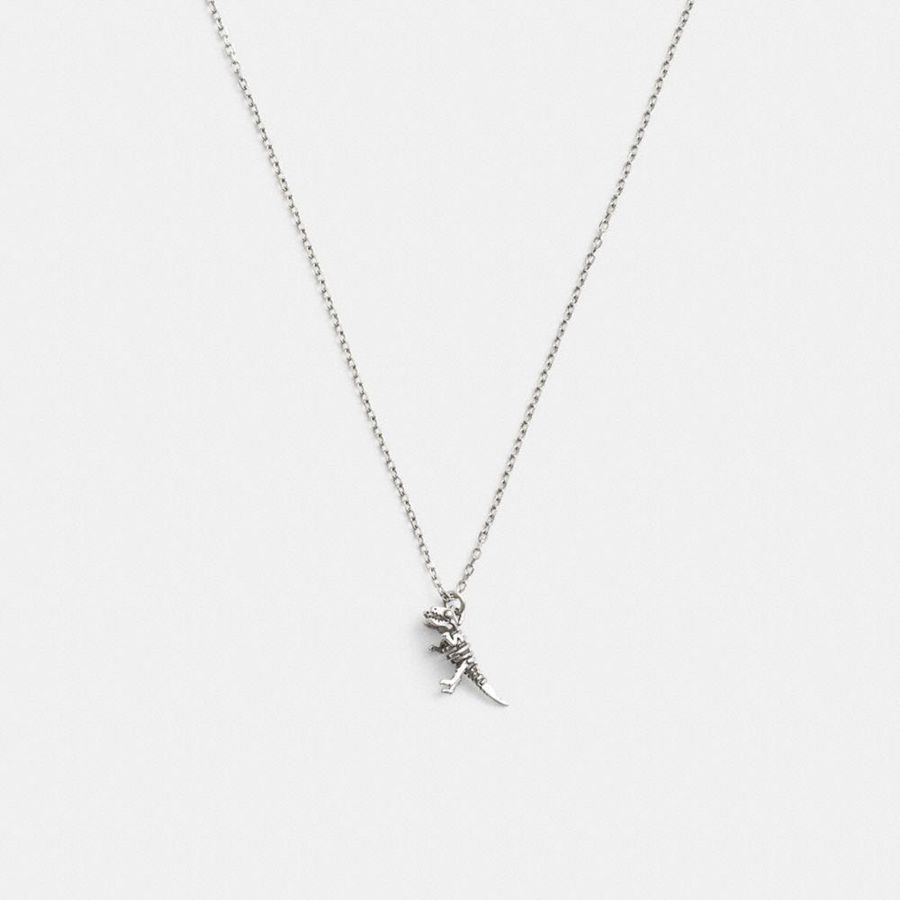 Jóias COACH Sterling Skeletal Rexy Pendant Necklace Masculino Prateadas | 80514QWMT