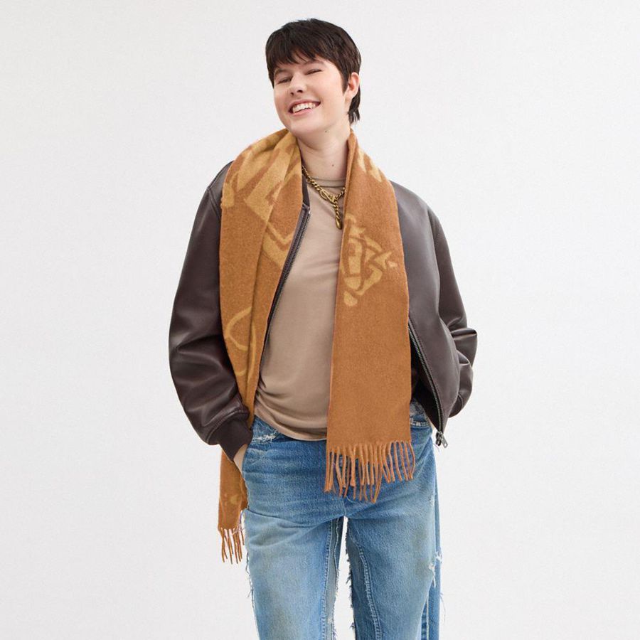 Lenço COACH Horse And Carriage Cashmere Muffler Feminino Marrom | 13675DFGR