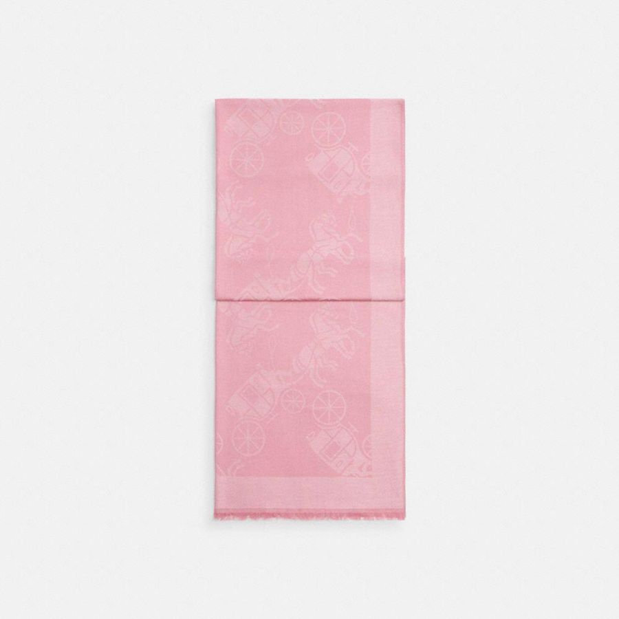 Lenço COACH Horse And Carriage Print Stole Feminino Rosa | 70168CXTF