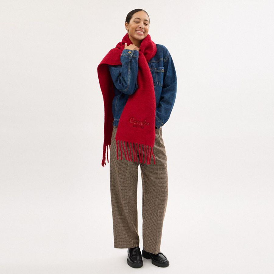 Lenço COACH New Year Oversized Muffler With Embroidered Coach Snake Script Feminino Vermelhas | 01438ADCN