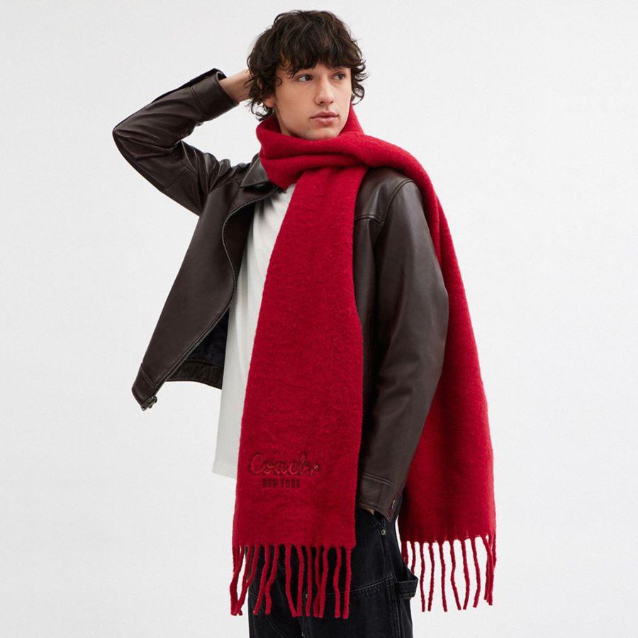 Lenço COACH New Year Oversized Muffler With Embroidered Coach Snake Script Feminino Vermelhas | 01438ADCN